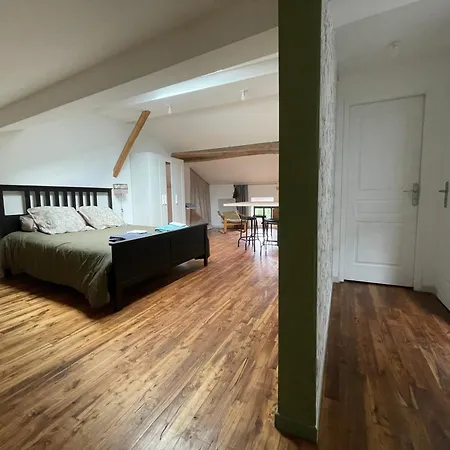 Appartement Cosy Sous Les Toits Pont-dʼAin Extérieur photo