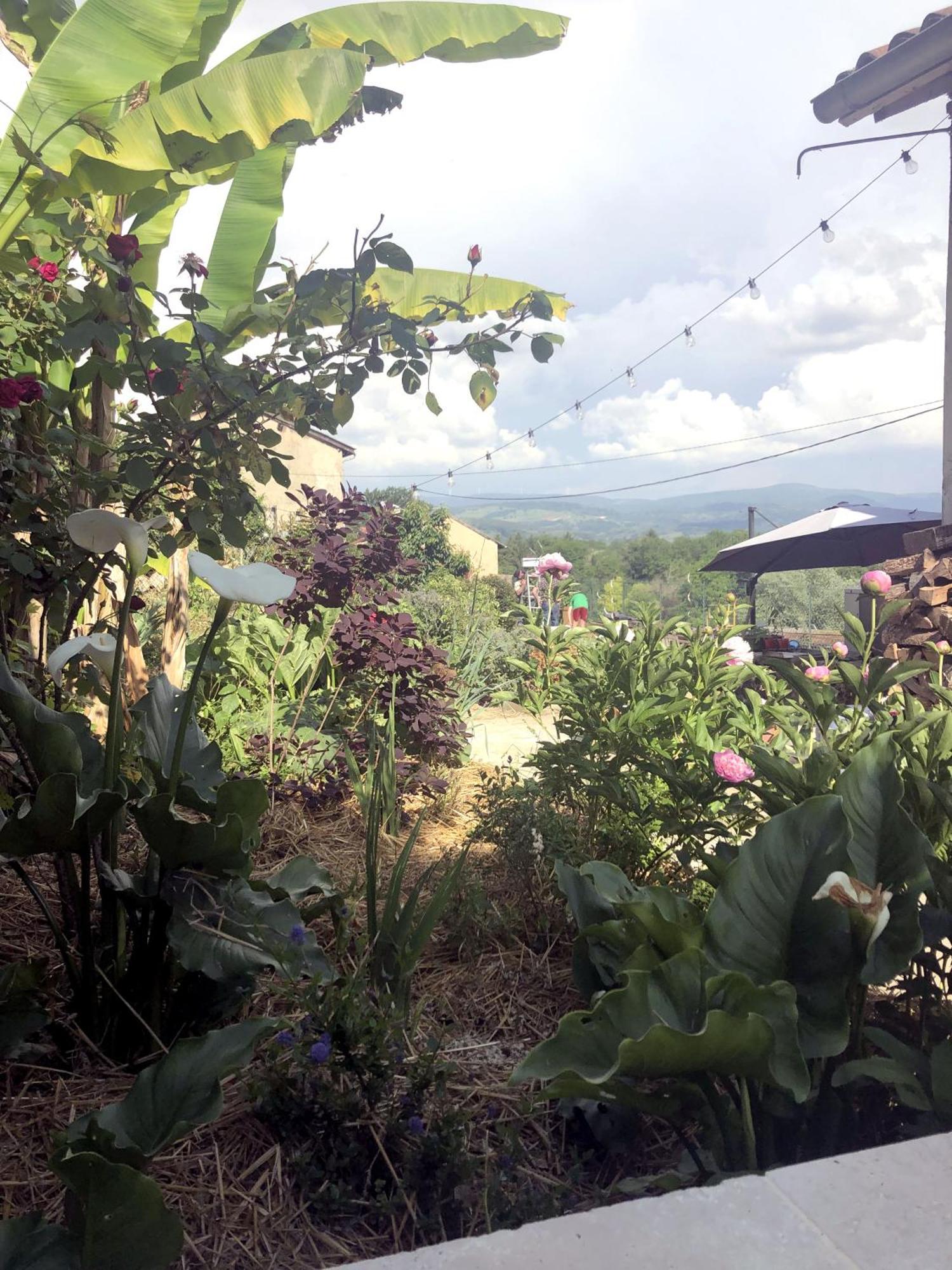 Cosy Sous Les Toits *